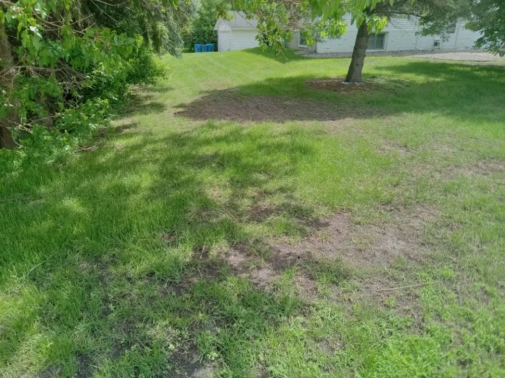 Local yard cleanup service in Minneapolis, MN by Rays Lawn and Gardening Services