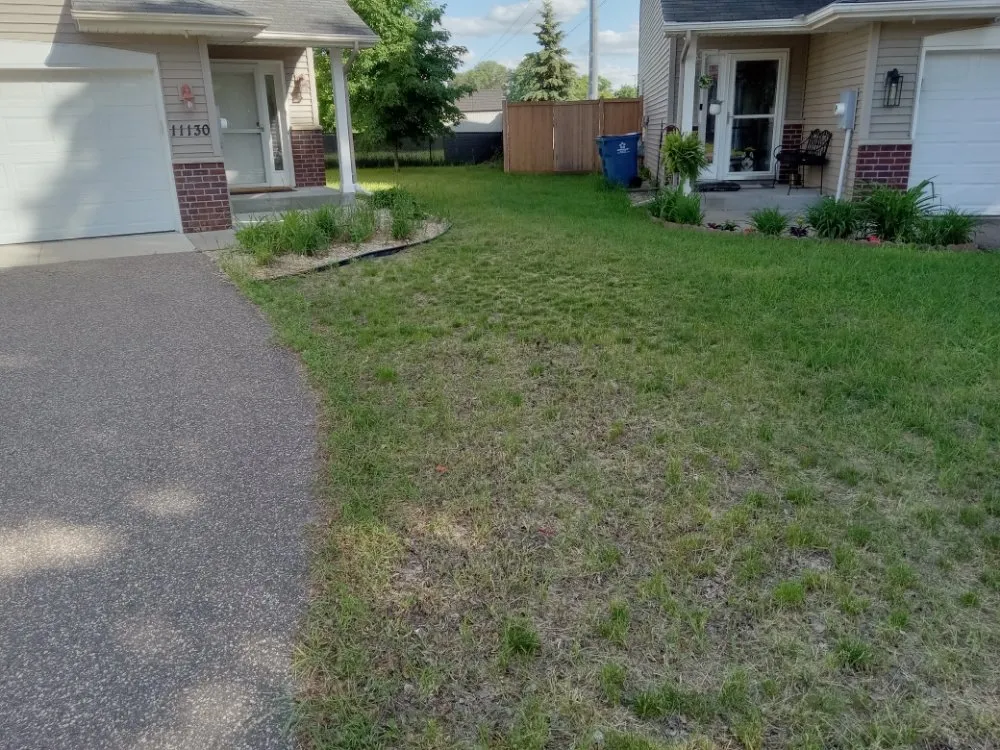 Top-rated lawn care service in Minneapolis, MN by Rays Lawn and Gardening Services