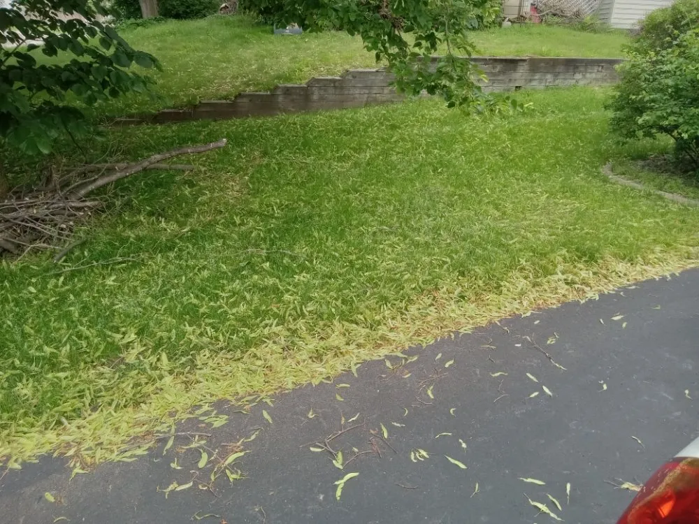 Custom outdoor landscaping experts serving Minneapolis, MN - Rays Lawn and Gardening Services