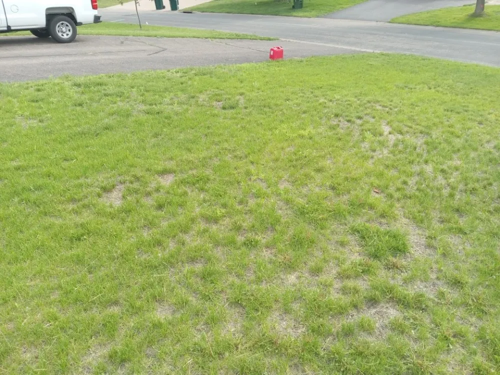 Reliable landscape design experts serving Minneapolis, MN - Rays Lawn and Gardening Services