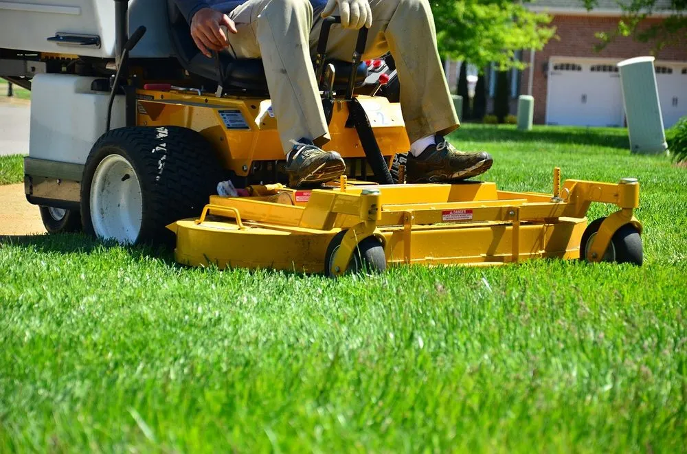 Top-rated landscaping services experts serving Ormond Beach, FL - Ray's Lawn and landscape
