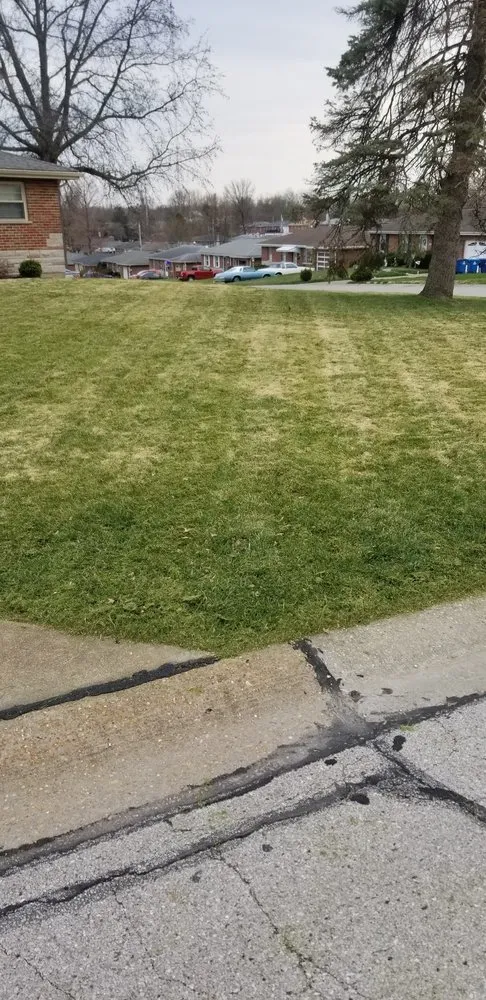 Professional yard cleanup service for homes in Leadwood, MO by Rays Lawn and Landscaping