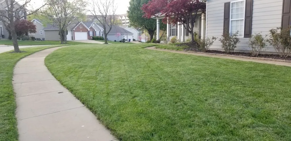 Local landscaping services in Leadwood, MO - Rays Lawn and Landscaping