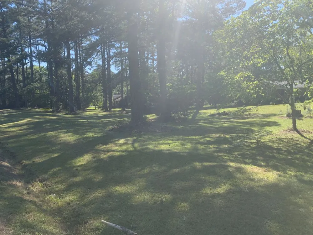 Professional residential landscaping in Winnsboro, SC by Rays lawn care and pressure washing