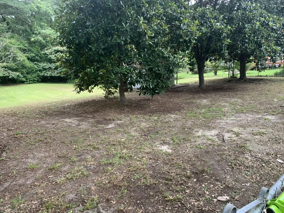 Reliable yard cleanup service in Winnsboro, SC by Rays lawn care and pressure washing