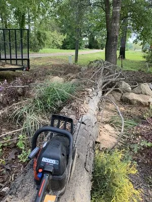Rays lawn care and pressure washing