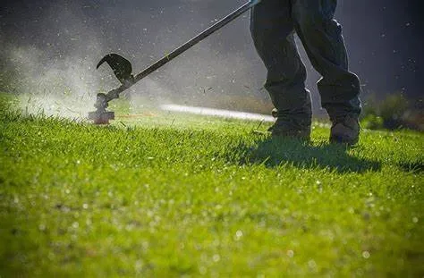 Reliable lawn care service in Lancaster, CA by Ray's Lawn Care