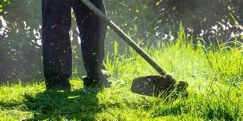 Top-rated garden landscaping experts serving Lancaster, CA - Ray's Lawn Care
