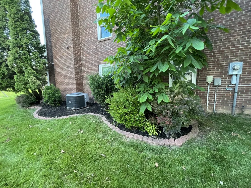 Affordable yard maintenance in Louisville, KY - Rays Lawn Care