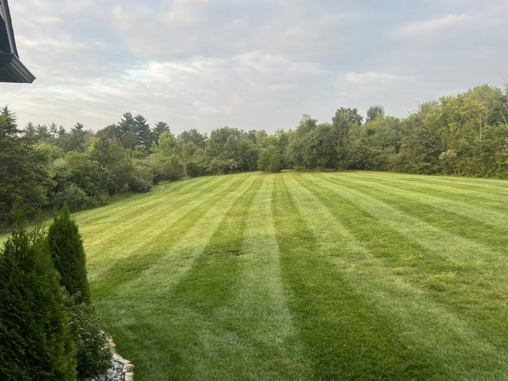 Affordable landscape installation for outdoor upgrades across Louisville, KY - Rays Lawn Care