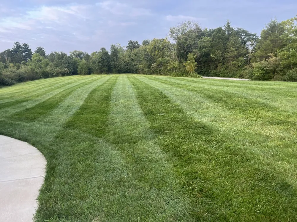 Expert lawn care service in Louisville, KY by Rays Lawn Care