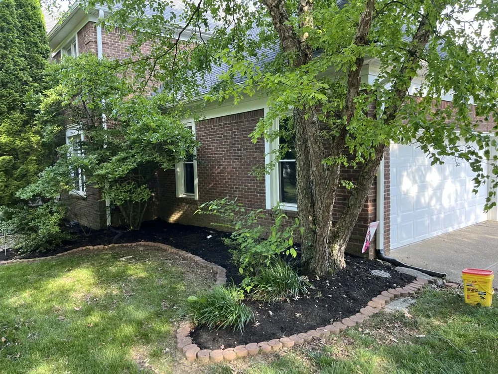 Trusted yard maintenance in Louisville, KY by Rays Lawn Care