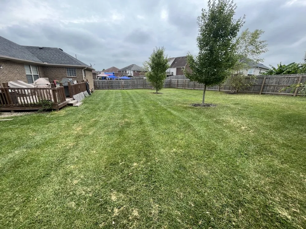 Reliable residential landscaping for outdoor upgrades in Louisville, KY by Rays Lawn Care