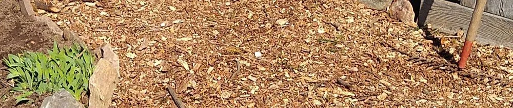 Custom landscaping services for homes across New Holland, PA - Ray's Lawn Care