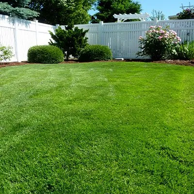 Trusted lawn mowing service for year-round maintenance across New Holland, PA - Ray's Lawn Care