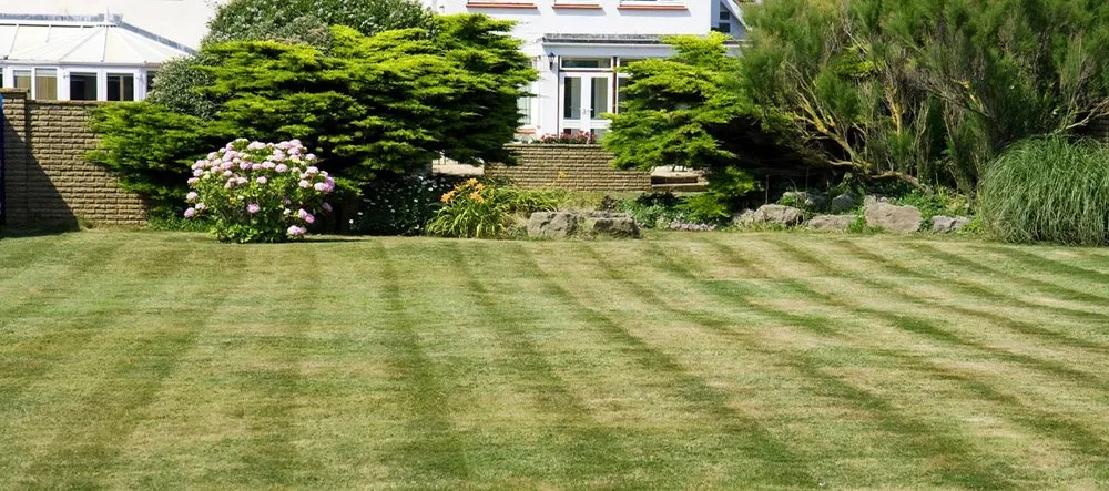 Custom lawn care service in Ardmore, OK by Ray's Lawn Maintenance