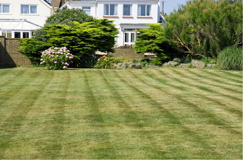 Top-rated yard maintenance in Ardmore, OK by Ray's Lawn Maintenance