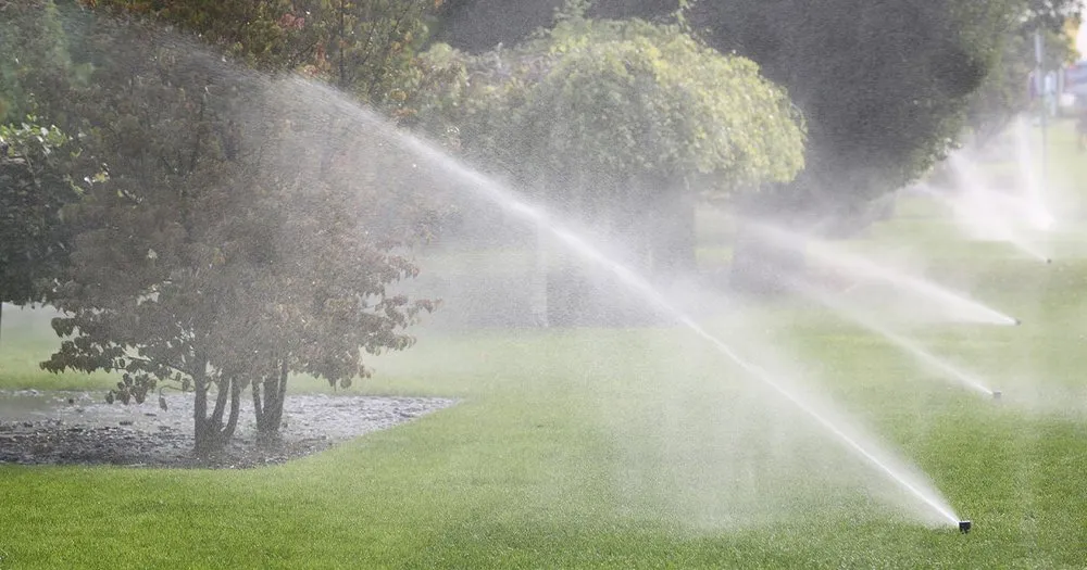Reliable yard maintenance in Ardmore, OK - Ray's Lawn Maintenance