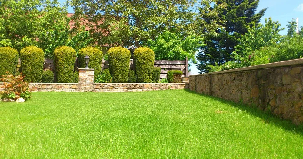 Top-rated yard maintenance in Ardmore, OK - Ray's Lawn Maintenance