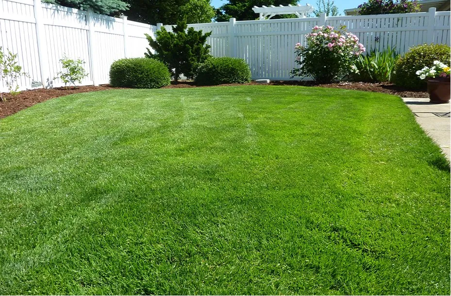 Trusted yard cleanup service in Ardmore, OK by Ray's Lawn Maintenance