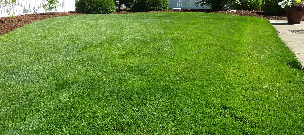Professional landscaping services experts serving Ardmore, OK - Ray's Lawn Maintenance