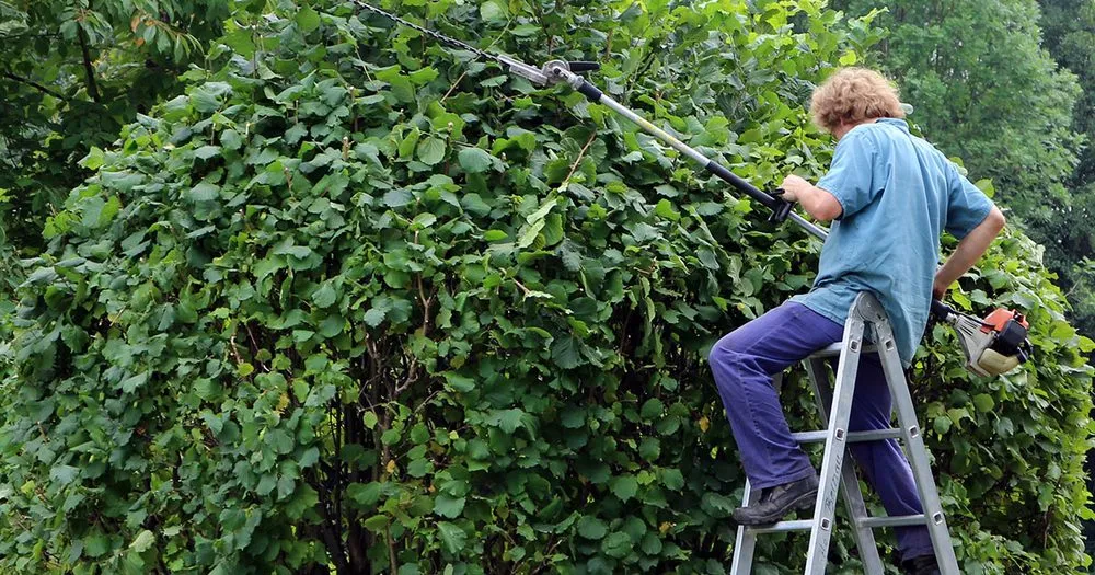 Trusted landscape installation for beautiful yards across Ardmore, OK - Ray's Lawn Maintenance