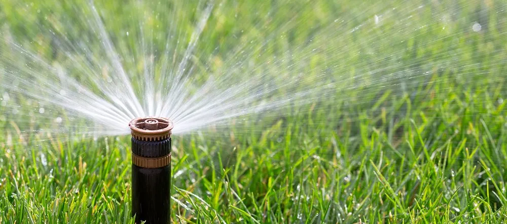 Local lawn care service experts serving Ardmore, OK - Ray's Lawn Maintenance