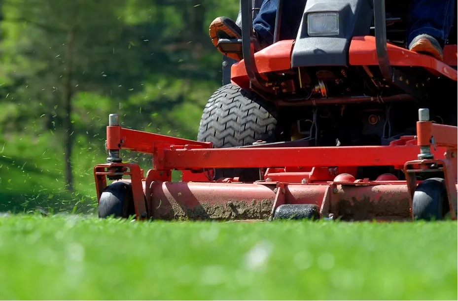 Reliable lawn mowing service experts serving Ardmore, OK - Ray's Lawn Maintenance