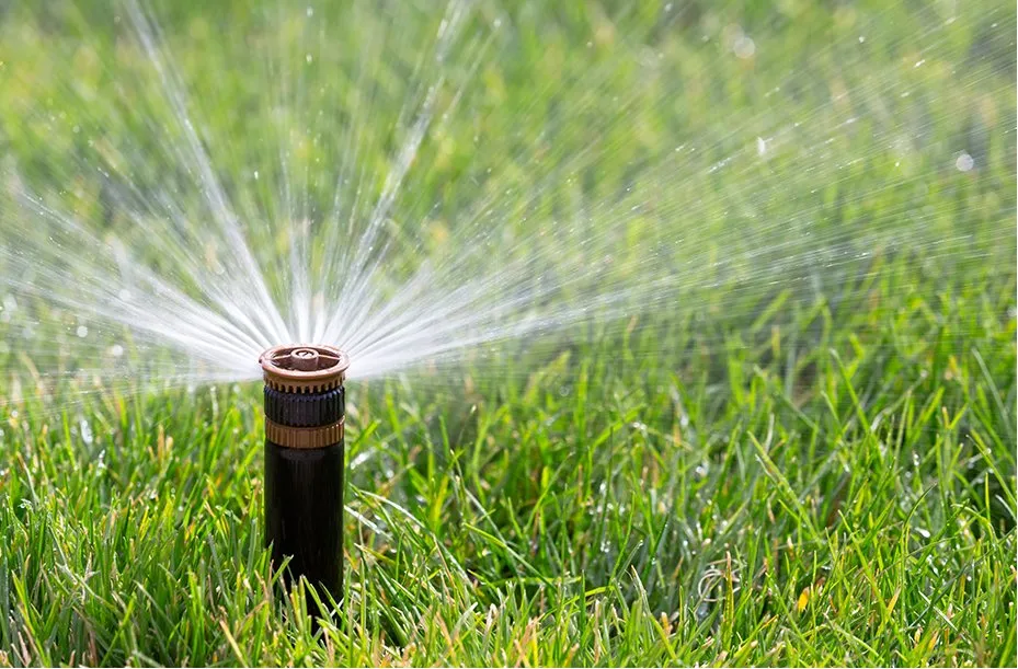 Reliable lawn mowing service in Ardmore, OK by Ray's Lawn Maintenance