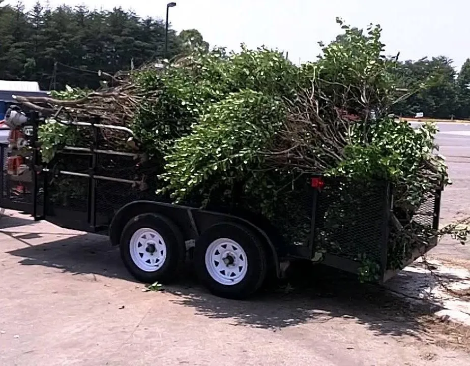 Affordable yard cleanup service with custom design in Independence, MO by Rays Lawn Mowing