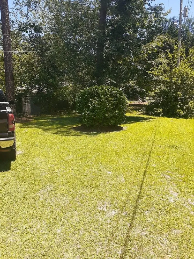 Local lawn care service for residential properties in Adel, GA by Ray's Lawn Service