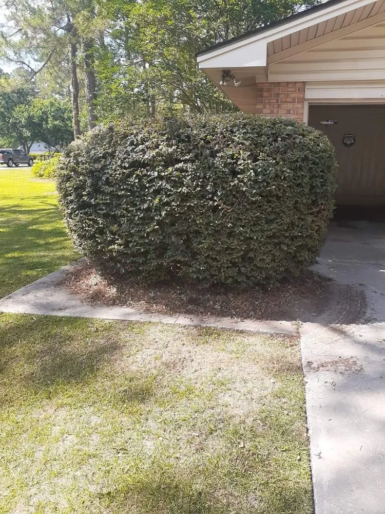 Expert landscape installation experts serving Adel, GA - Ray's Lawn Service