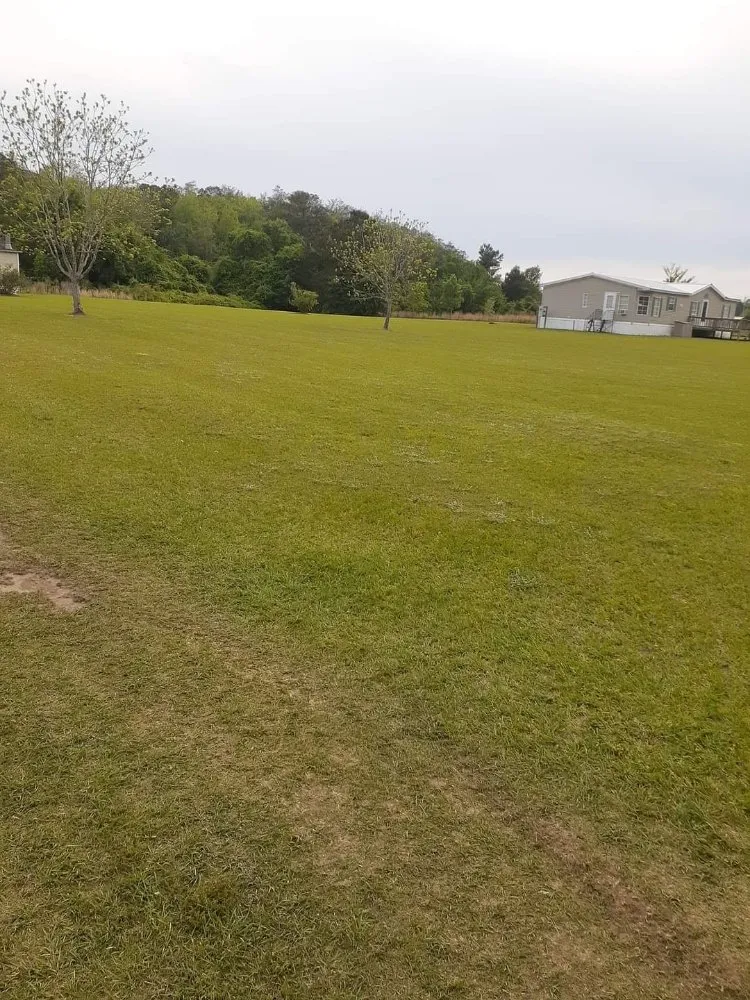 Local landscaping services for residential properties in Adel, GA by Ray's Lawn Service