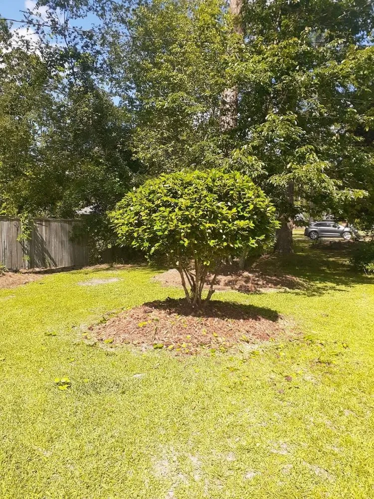 Expert landscape installation in Adel, GA - Ray's Lawn Service