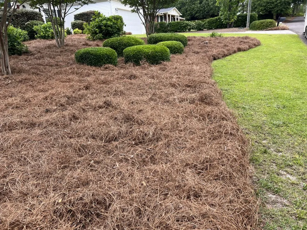 Custom landscape design experts serving Aiken, SC - Rays Lawn Service