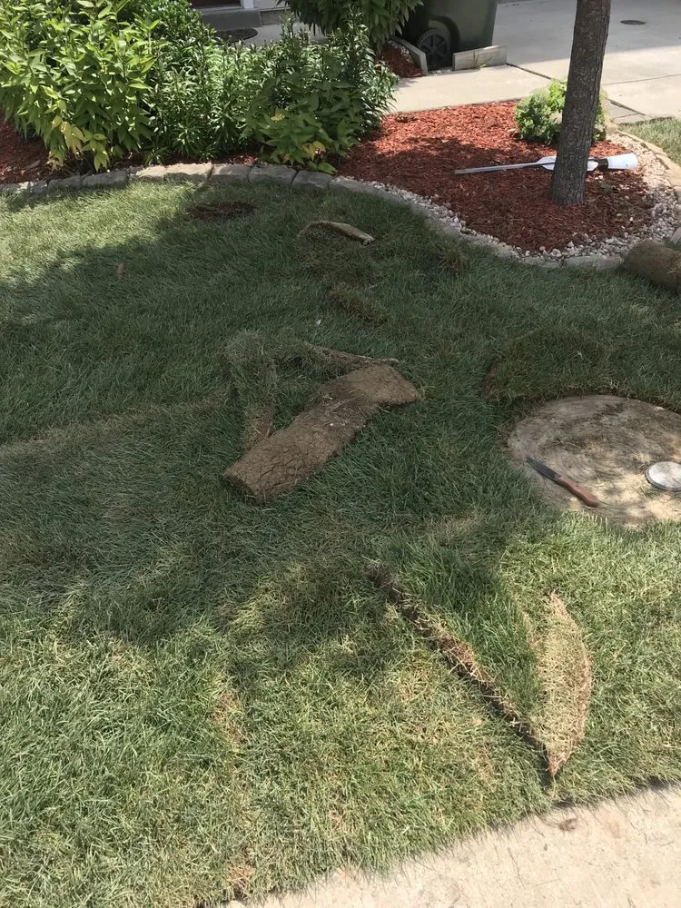 Reliable yard maintenance in Lexington Park, MD by Ray’s Lawncare and Landscape Service