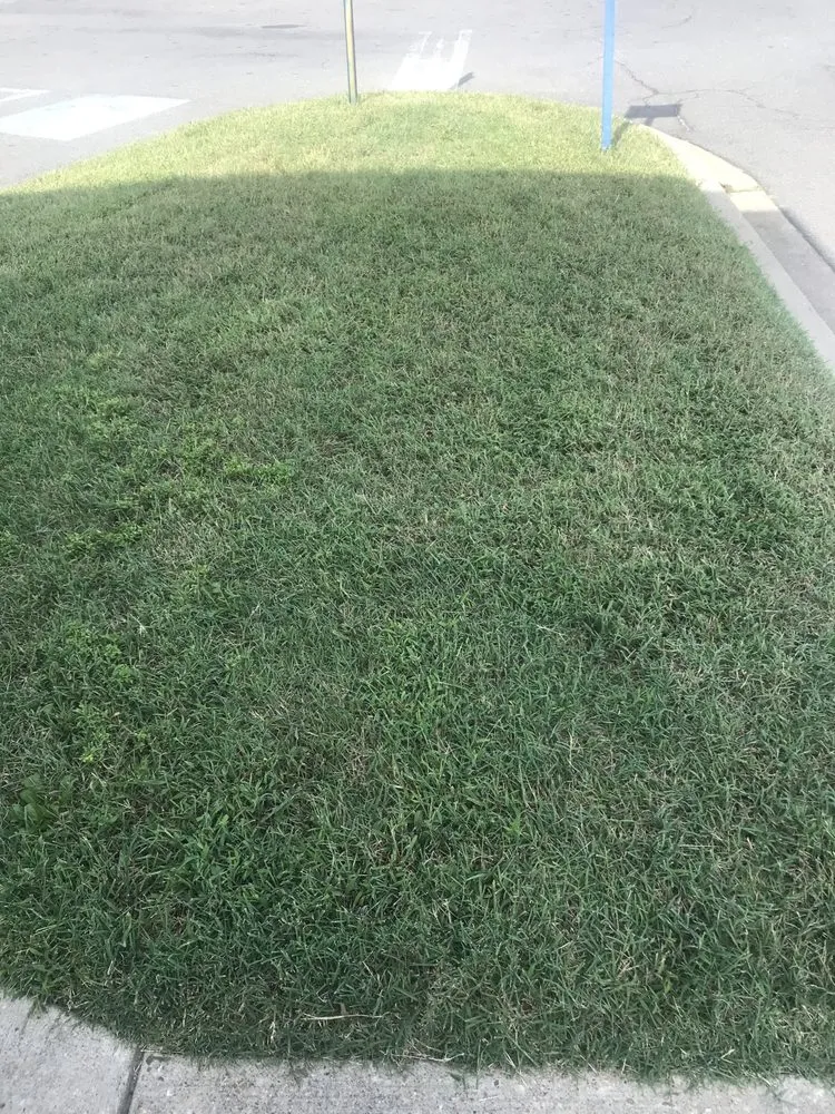 Custom lawn mowing service in Lexington Park, MD by Ray’s Lawncare and Landscape Service