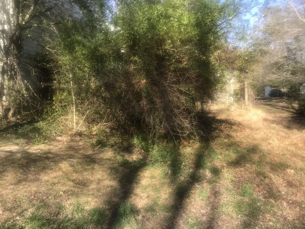 Affordable yard cleanup service for homes in Lexington Park, MD by Ray’s Lawncare and Landscape Service