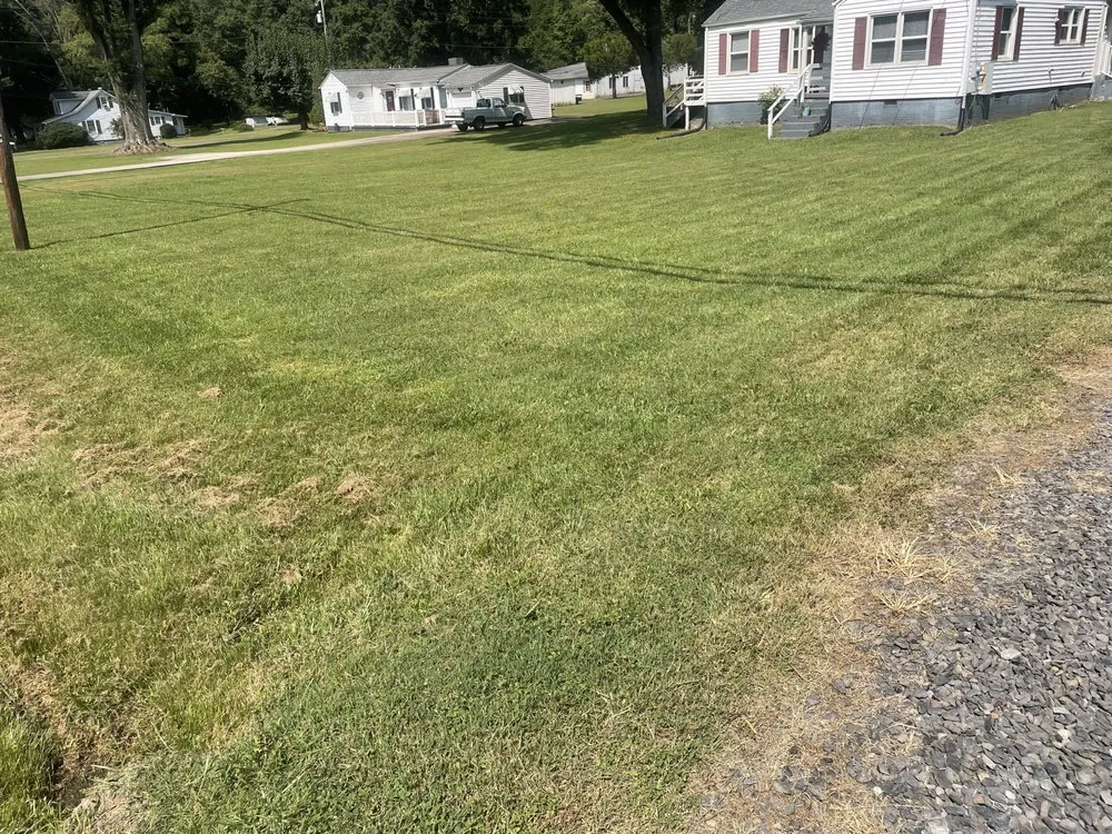 Trusted residential landscaping in Eden, NC - Rays Lawncare