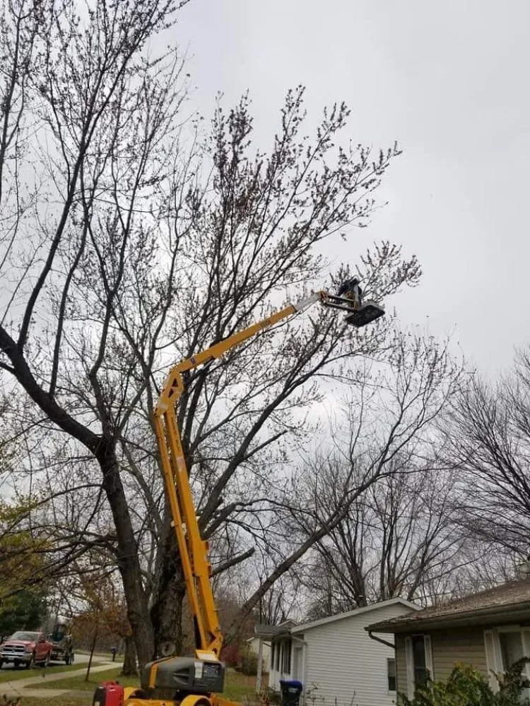 Affordable outdoor landscaping with custom design across Bloomington, IN - Ray's Lawncare/tree Service