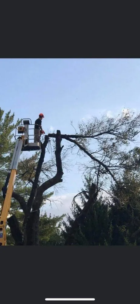 Affordable lawn mowing service experts serving Bloomington, IN - Ray's Lawncare/tree Service