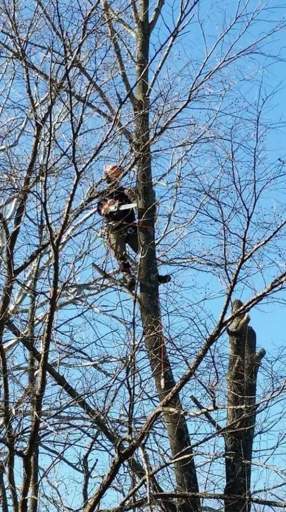 Reliable lawn care service in Bloomington, IN - Ray's Lawncare/tree Service