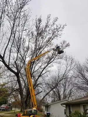 Ray's Lawncare/tree Service Logo