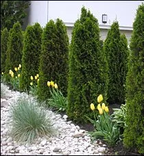 Affordable landscaping services for homes across Glastonbury, CT - Ray's Lawnworks & Landscaping
