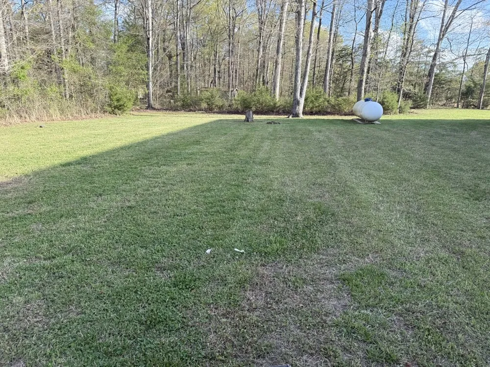 Local yard maintenance with custom design across Dandridge, TN - Ray’s Mowing and Landscaping