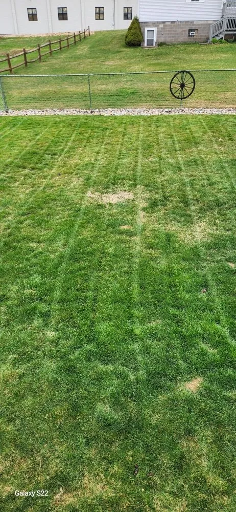 Trusted outdoor landscaping experts serving Masontown, PA - Rays Mowing