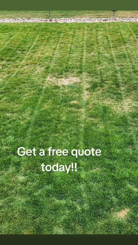 Trusted landscape installation experts serving Masontown, PA - Rays Mowing