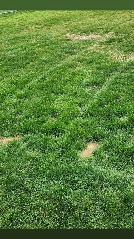 Trusted yard maintenance for year-round maintenance in Masontown, PA by Rays Mowing