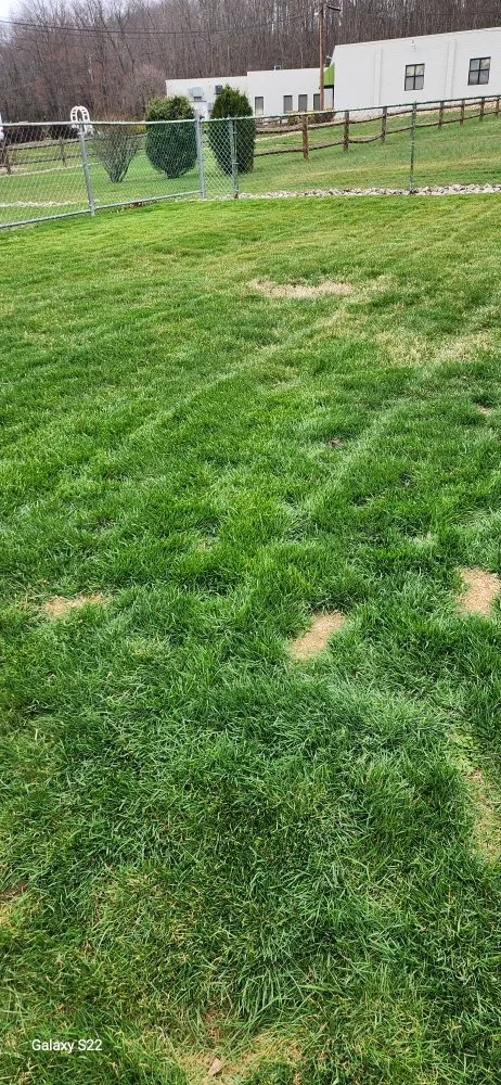 Professional lawn care service in Masontown, PA - Rays Mowing