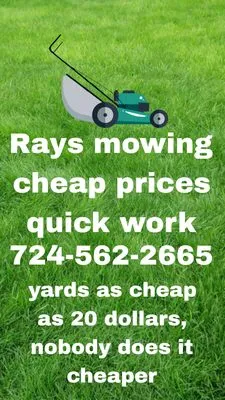 Rays Mowing